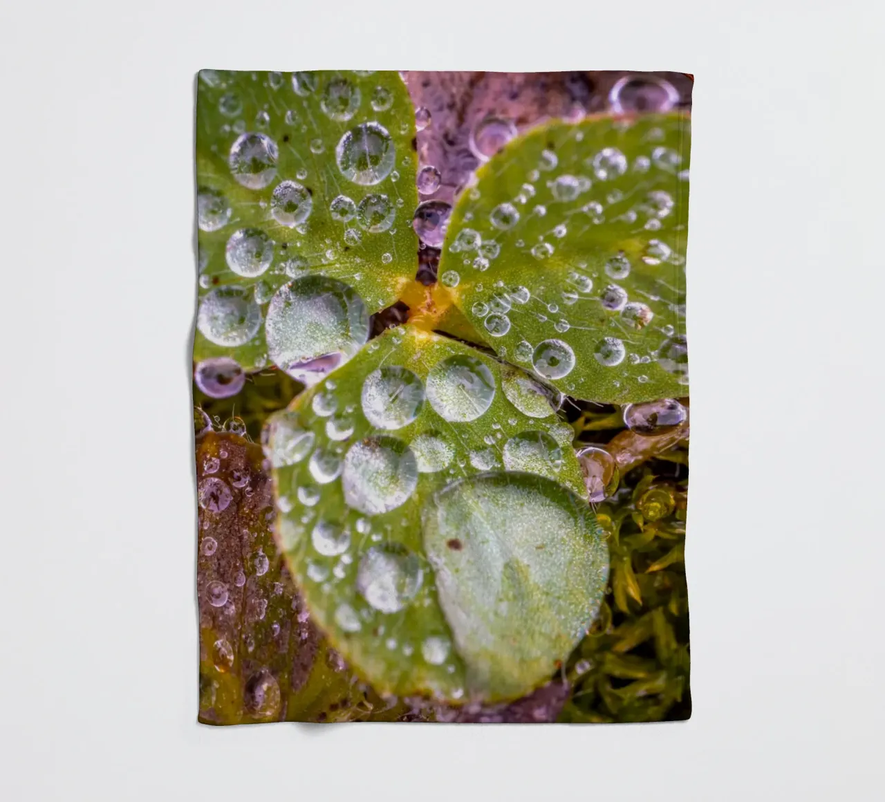 Wassertropfen auf einem Kleeblatt Fleecedecke von Marcus Beckert | Fotografie