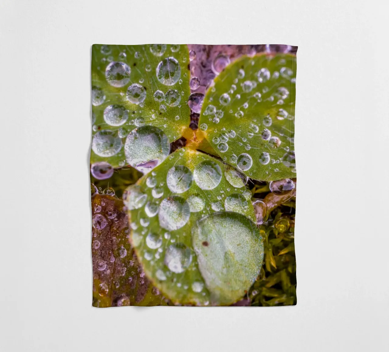 Wassertropfen auf einem Kleeblatt Fleecedecke von Marcus Beckert | Fotografie