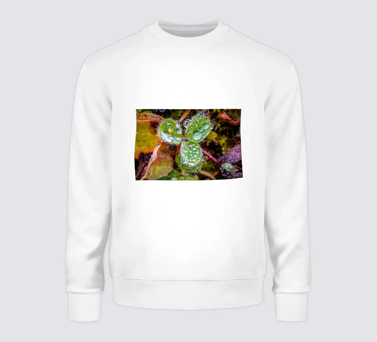 Dreiblättriges Kleeblatt mit vielen Wassertropfen Sweatshirt von Marcus Beckert | Fotografie