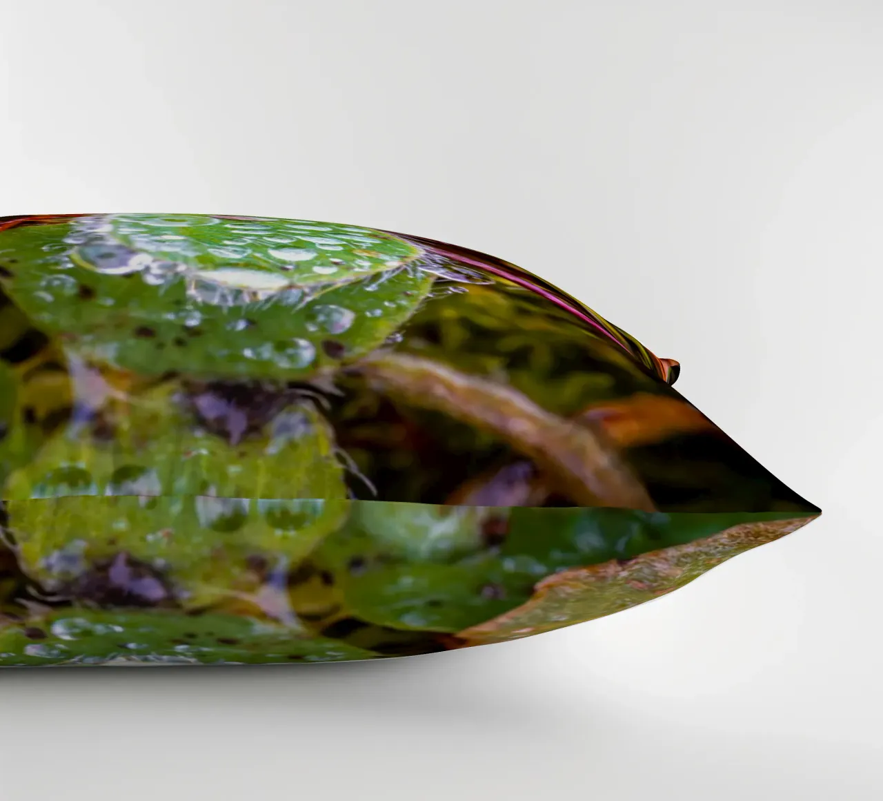 Trifoglio con molte gocce d'acqua cuscino da Marcus Beckert | Fotografie