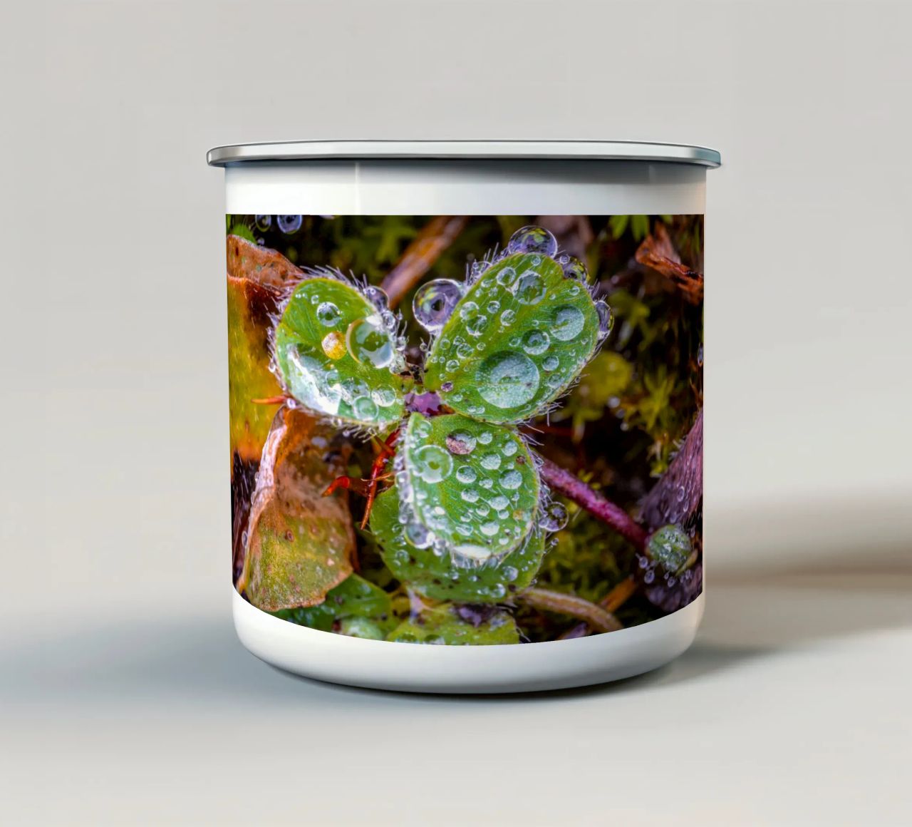 Trifoglio con molte gocce d'acqua tazza in smalto da Marcus Beckert | Fotografie
