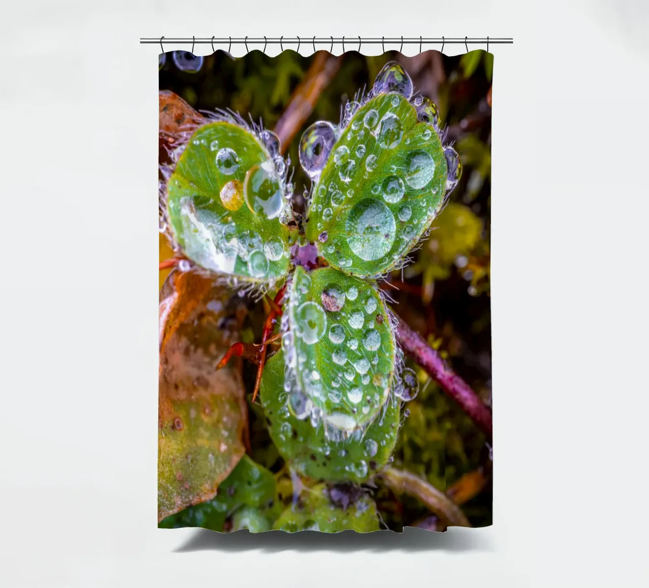 Dreiblättriges Kleeblatt mit vielen Wassertropfen Duschvorhang von Marcus Beckert | Fotografie