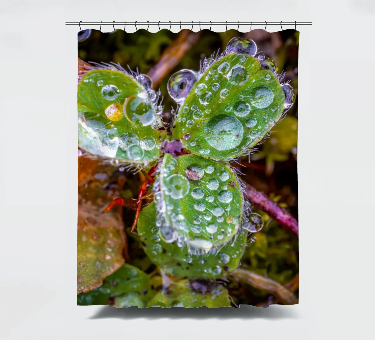 Dreiblättriges Kleeblatt mit vielen Wassertropfen Duschvorhang von Marcus Beckert | Fotografie