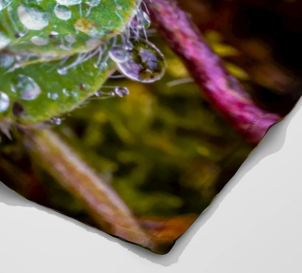 Dreiblättriges Kleeblatt mit vielen Wassertropfen Fleecedecke von Marcus Beckert | Fotografie