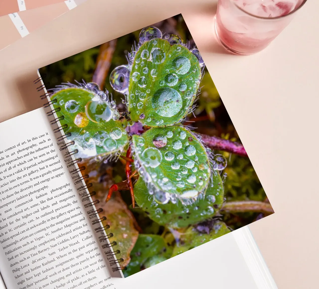Three-leaf clover with many drops of water spiral notebook by Marcus Beckert | Fotografie