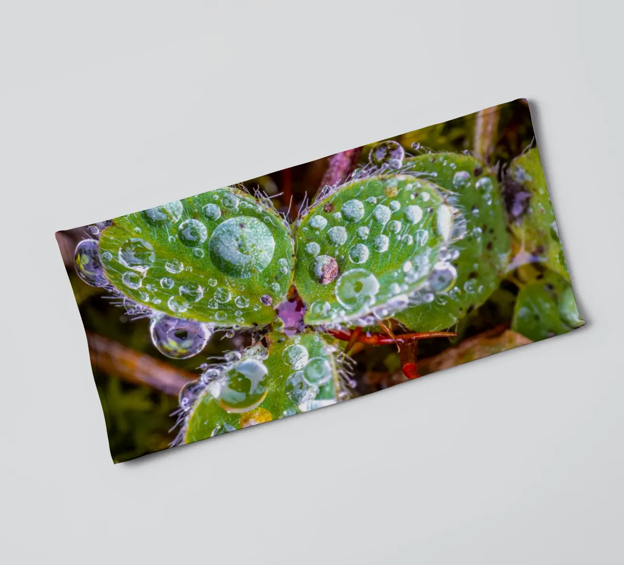 Dreiblättriges Kleeblatt mit vielen Wassertropfen Handtuch von Marcus Beckert | Fotografie