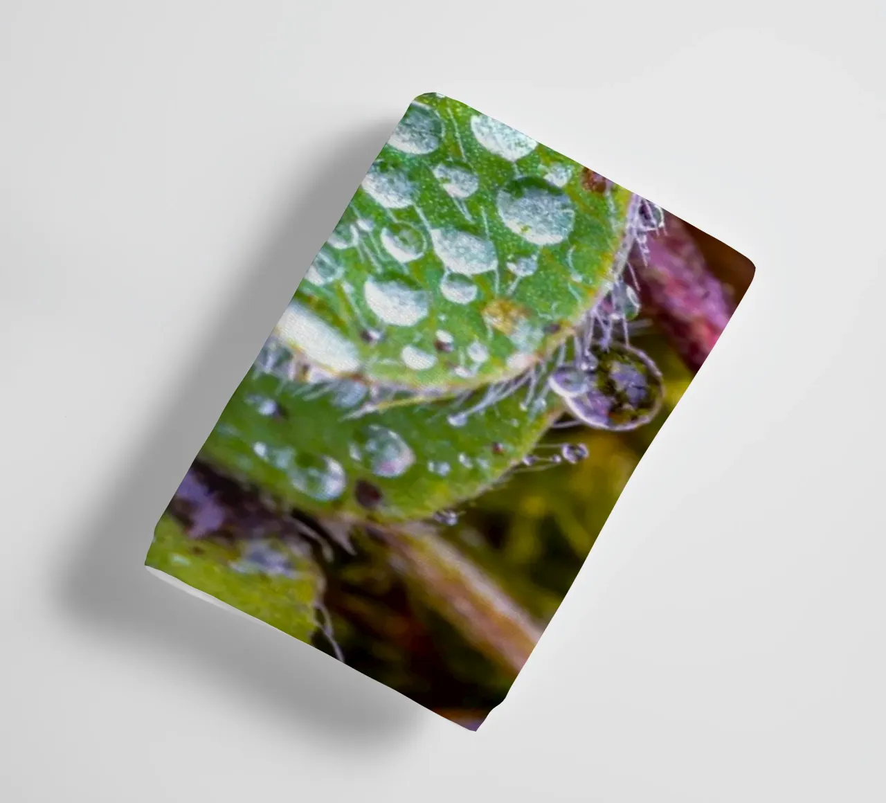 Dreiblättriges Kleeblatt mit vielen Wassertropfen Handtuch von Marcus Beckert | Fotografie