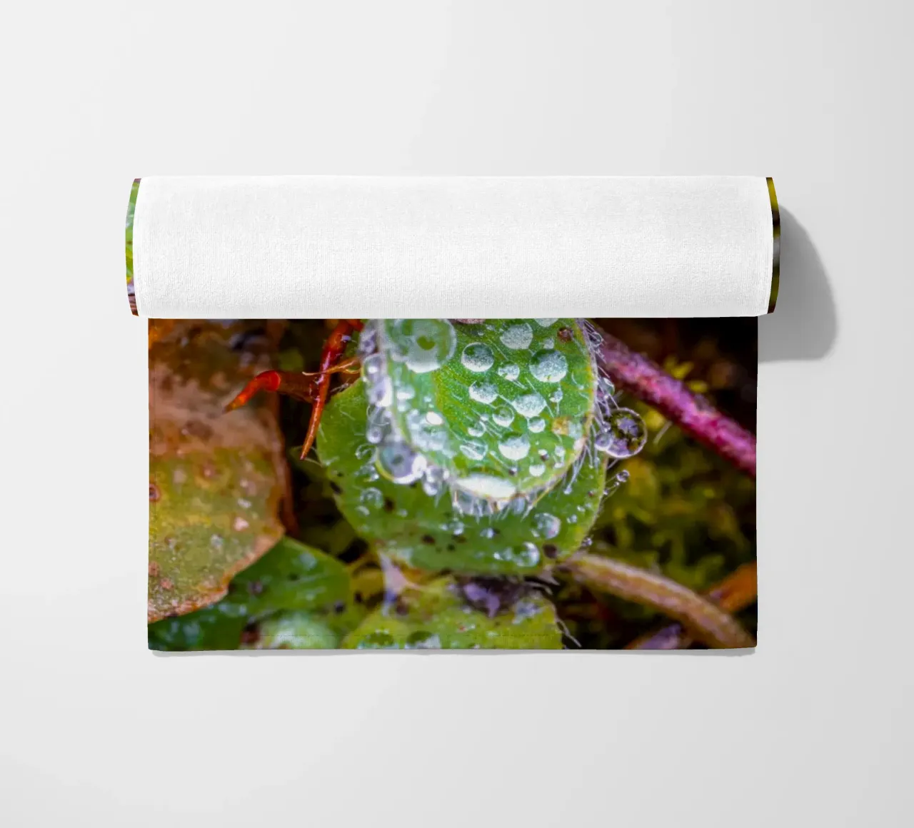 Dreiblättriges Kleeblatt mit vielen Wassertropfen Strandtuch von Marcus Beckert | Fotografie