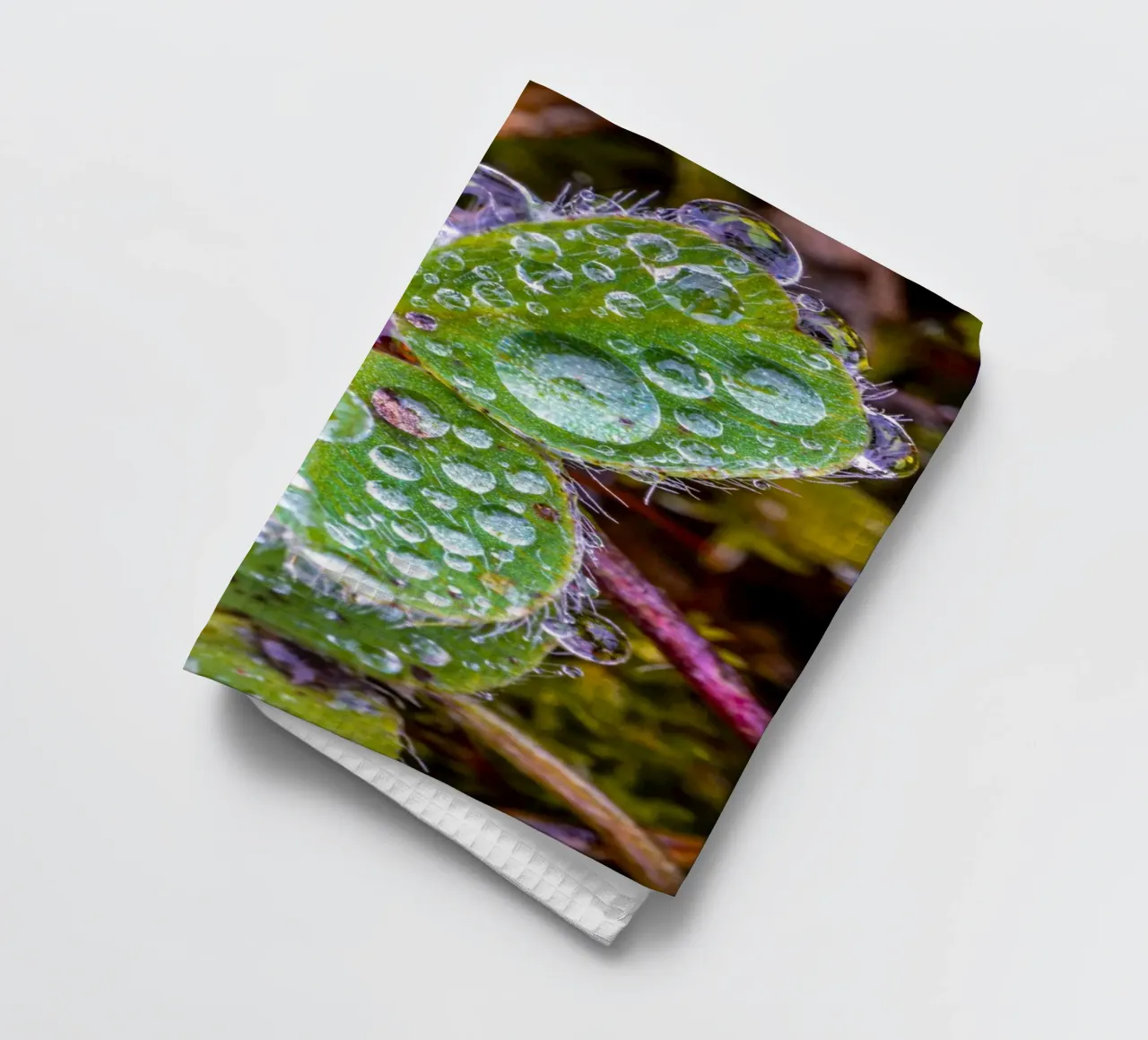 Dreiblättriges Kleeblatt mit vielen Wassertropfen Geschirrtuch von Marcus Beckert | Fotografie