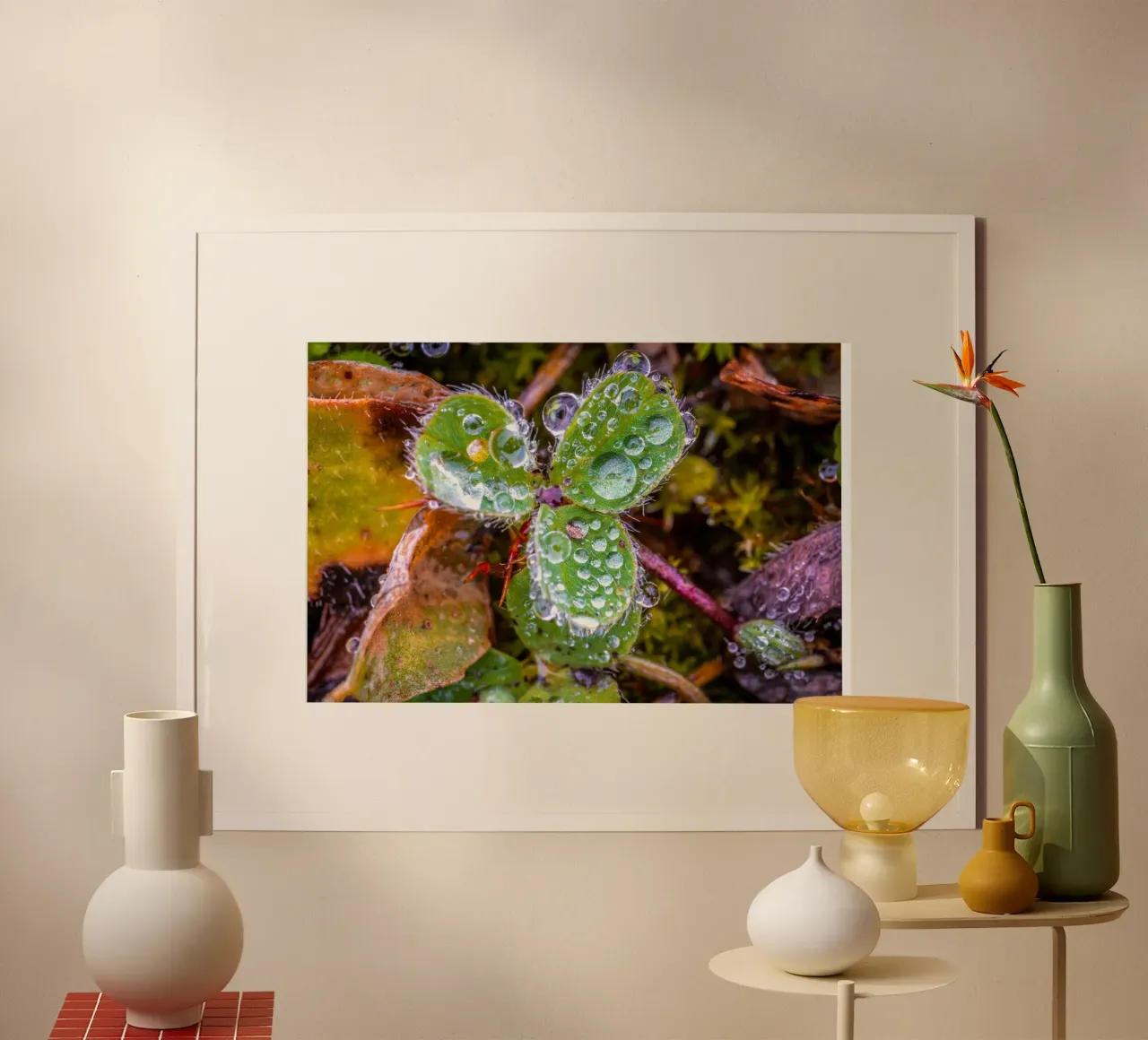 Dreiblättriges Kleeblatt mit vielen Wassertropfen Hahnemühle von Marcus Beckert | Fotografie