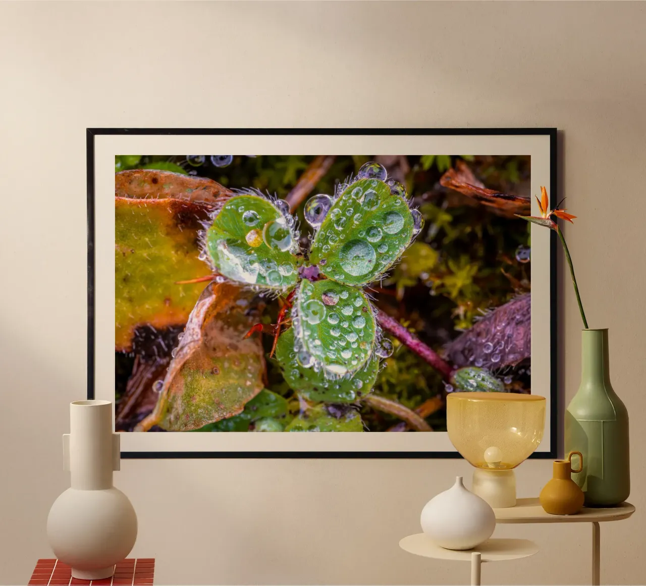 Three-leaf clover with many drops of water hahnemühle by Marcus Beckert | Fotografie