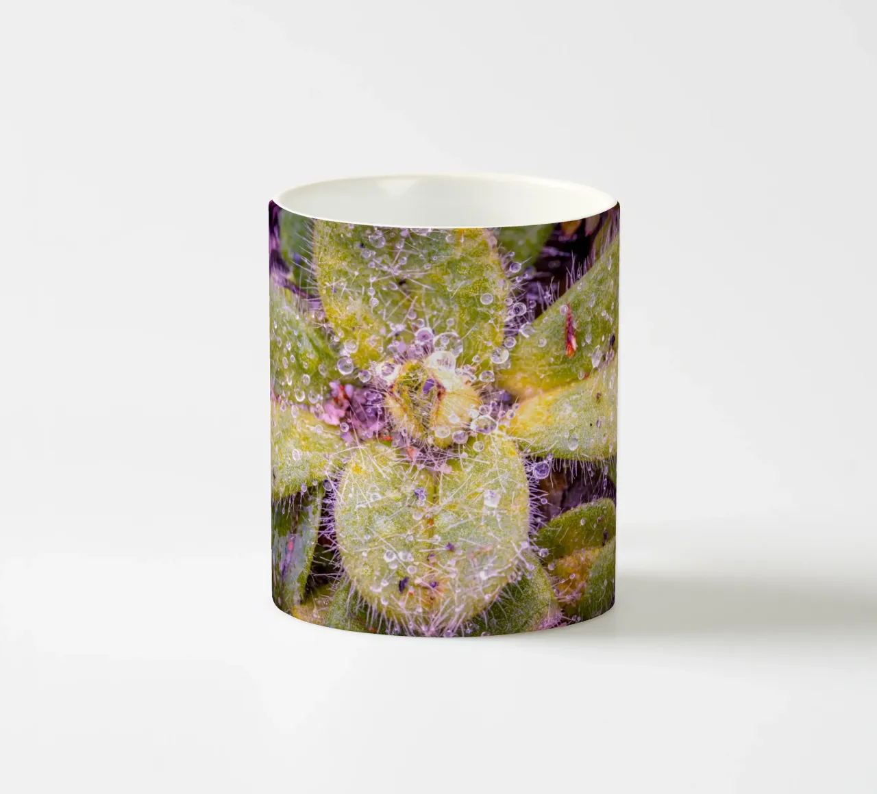 Verbasco a fiore piccolo con tante piccole gocce d'acqua tazza in ceramica da Marcus Beckert | Fotografie