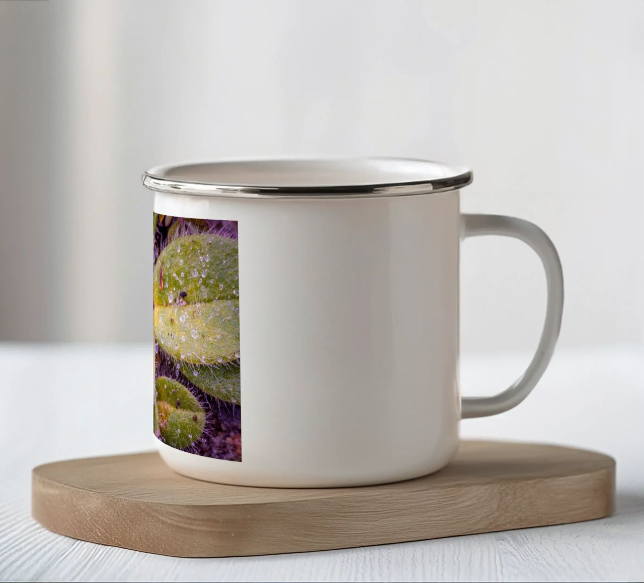 Verbasco a fiore piccolo con tante piccole gocce d'acqua tazza in smalto da Marcus Beckert | Fotografie