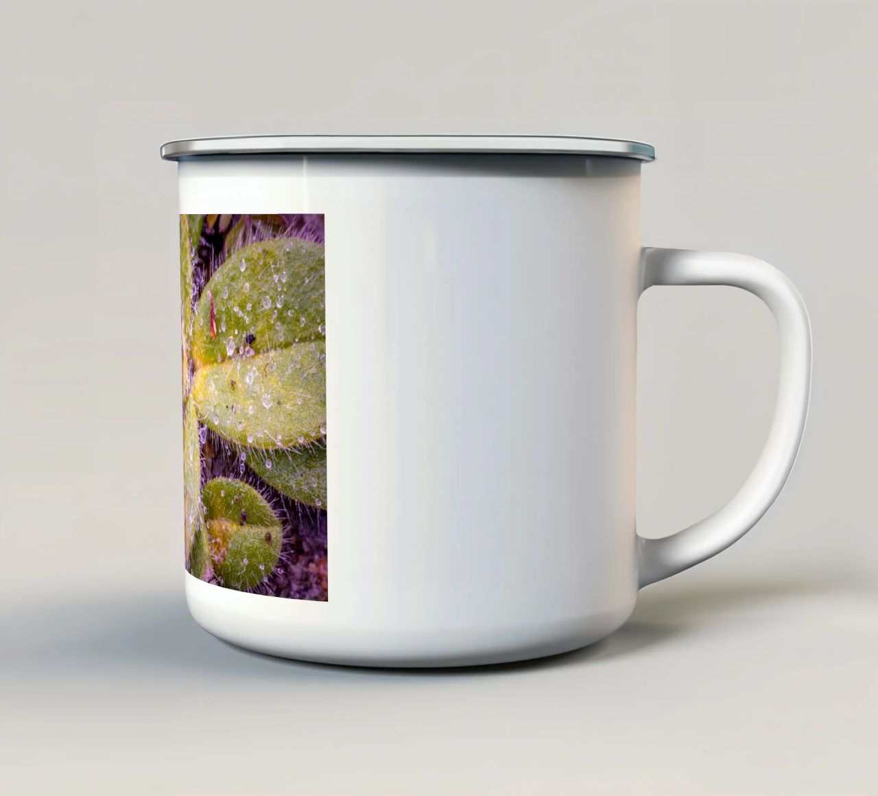 Verbasco a fiore piccolo con tante piccole gocce d'acqua tazza in smalto da Marcus Beckert | Fotografie