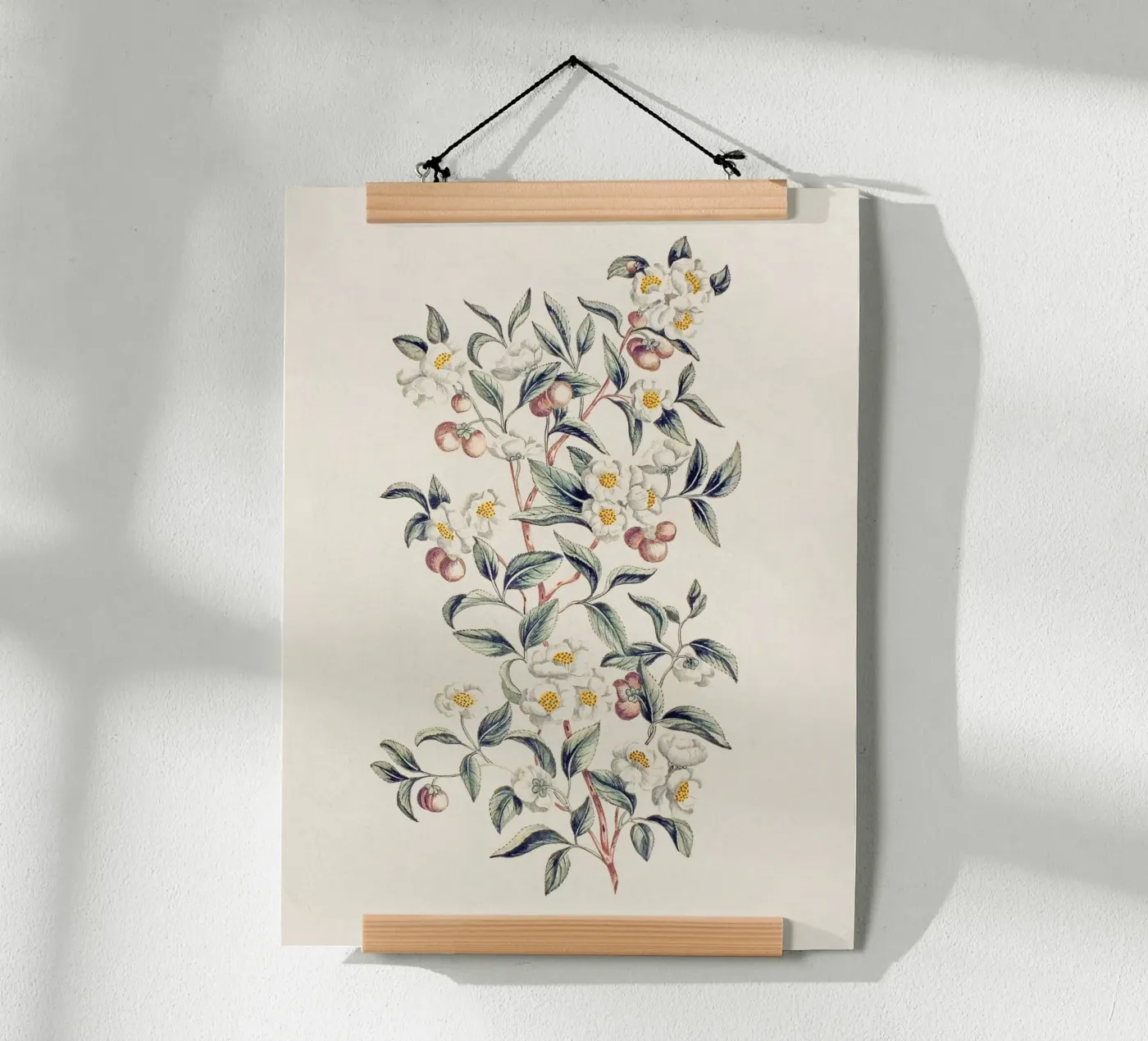 Pianta del tè poster da Apolo Prints