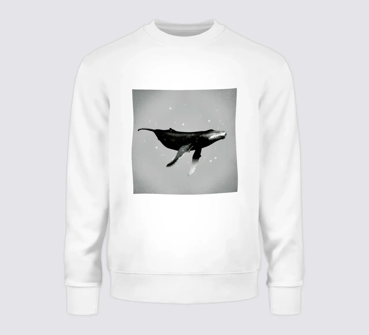 Whale felpa da Chris Wharton