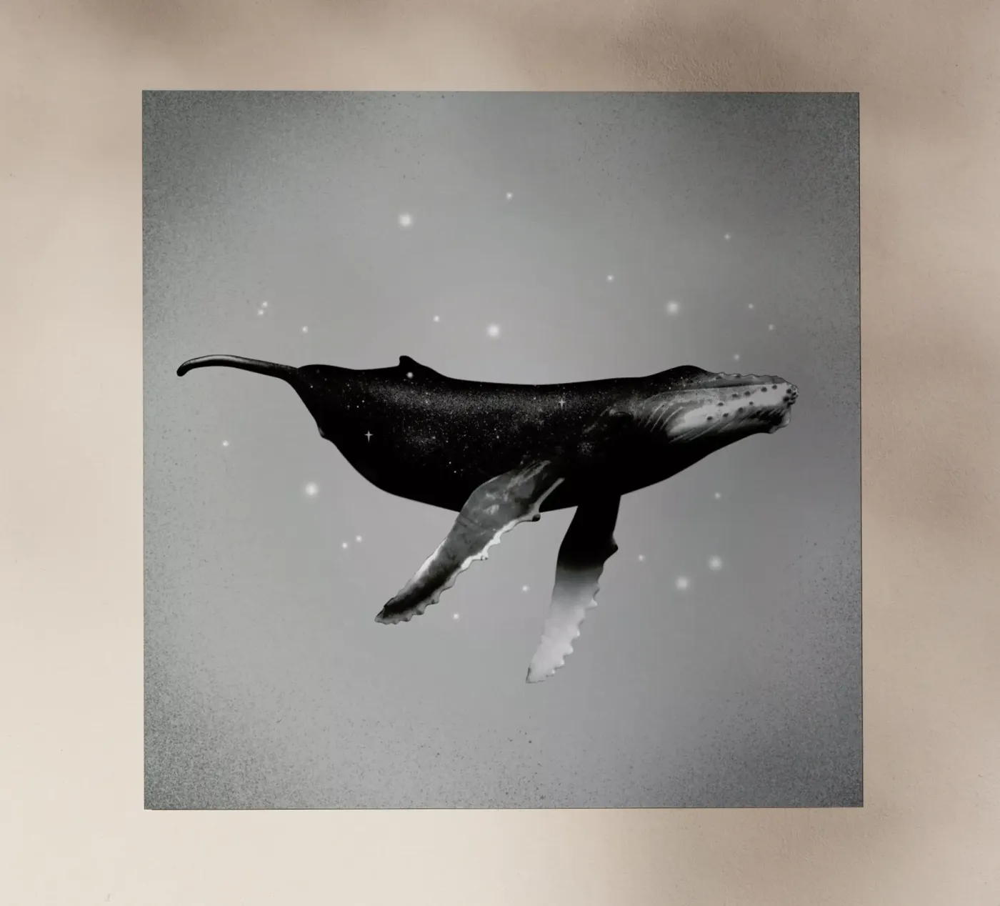 Whale pellicola backlit da Chris Wharton