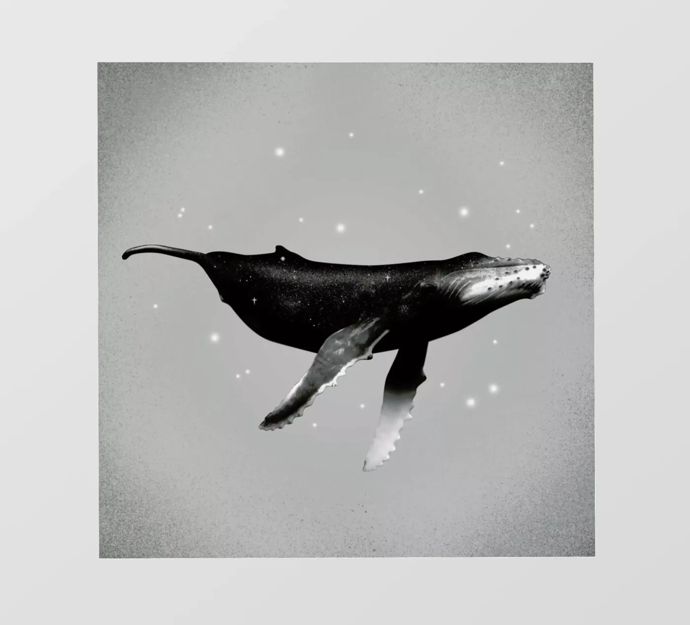 Whale pellicola backlit da Chris Wharton