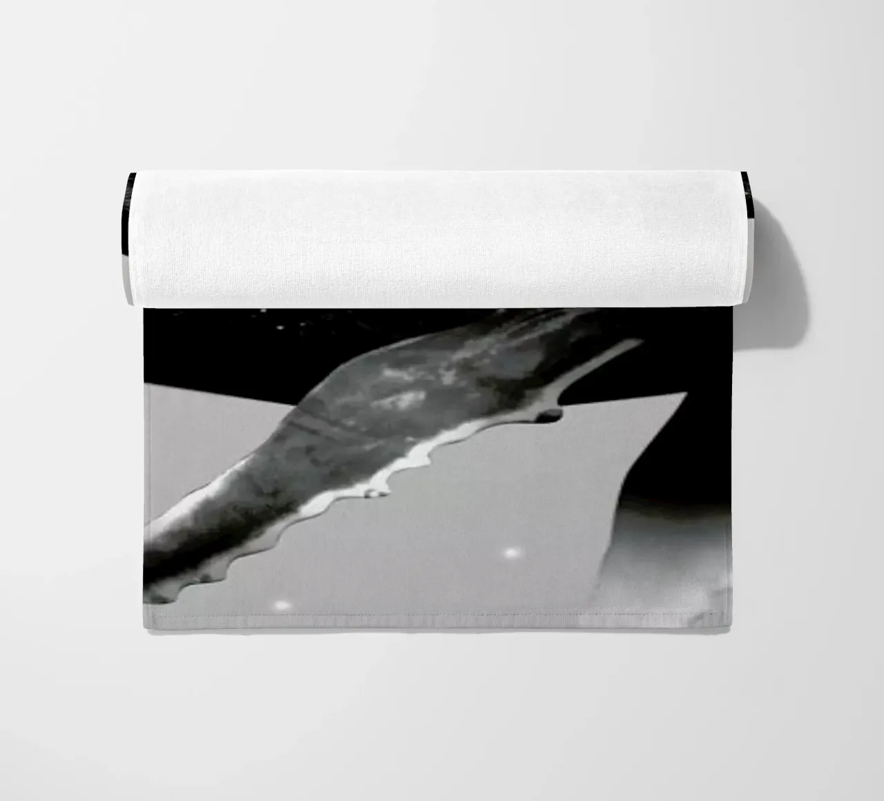 Whale telo mare da Chris Wharton