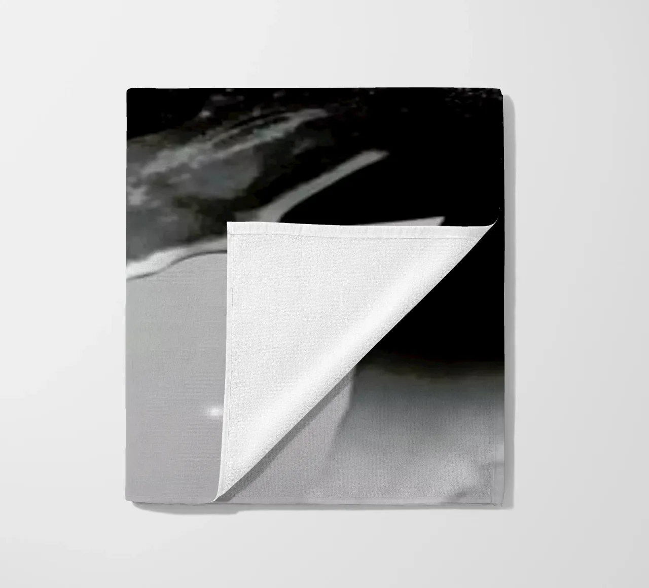 Whale telo mare da Chris Wharton