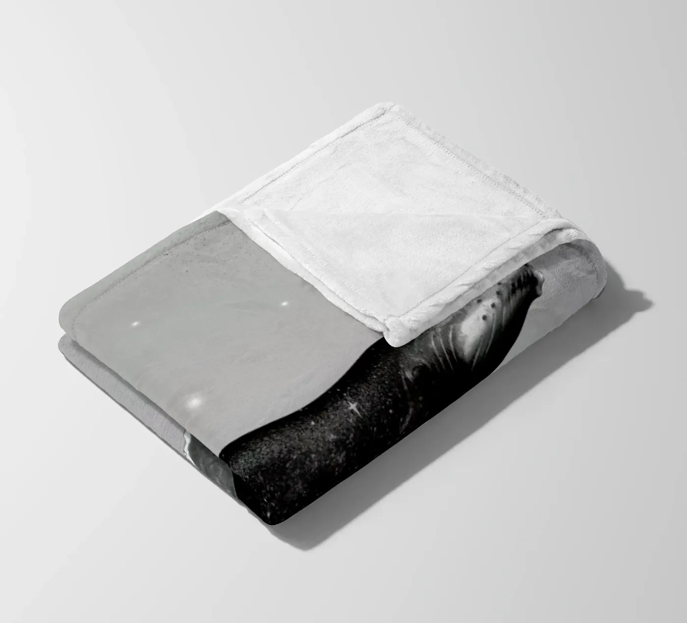 Whale Fleecedecke von Chris Wharton