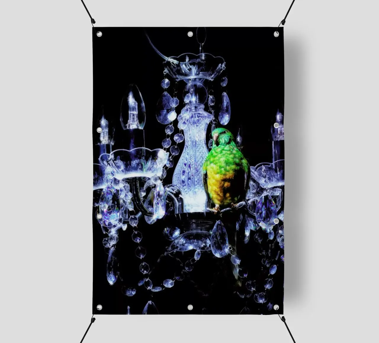 Birds Everywhere 3 telo in pvc da Günther Egger