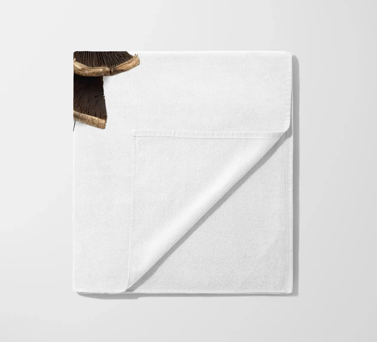 Shiitake telo mare da Gretchen Roehrs