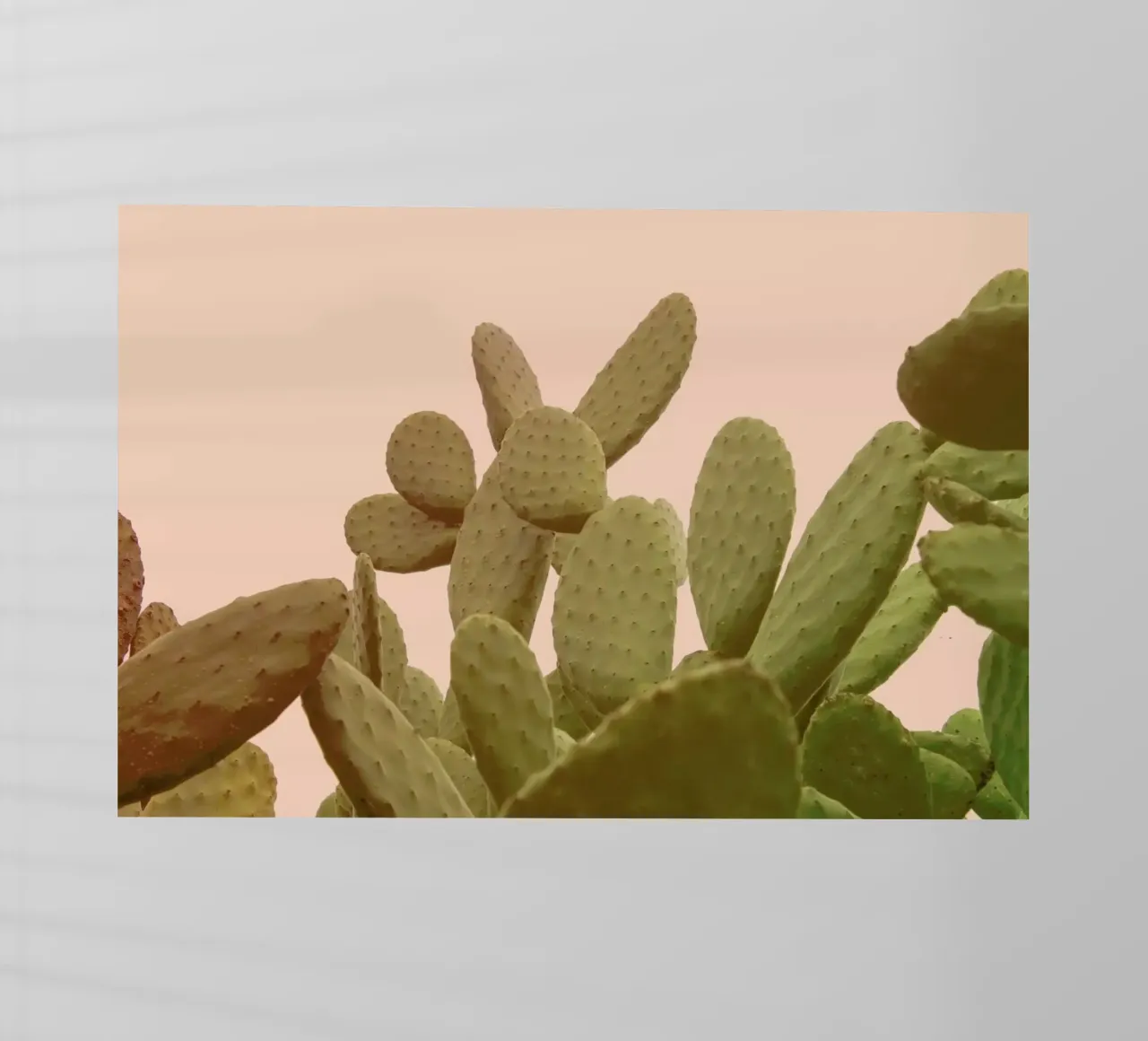 Prickly Pear Cactus lámina retroiluminada de Victoria Frost