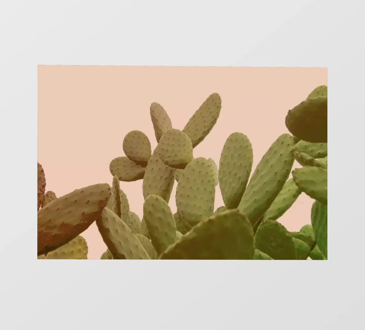 Prickly Pear Cactus lámina retroiluminada de Victoria Frost