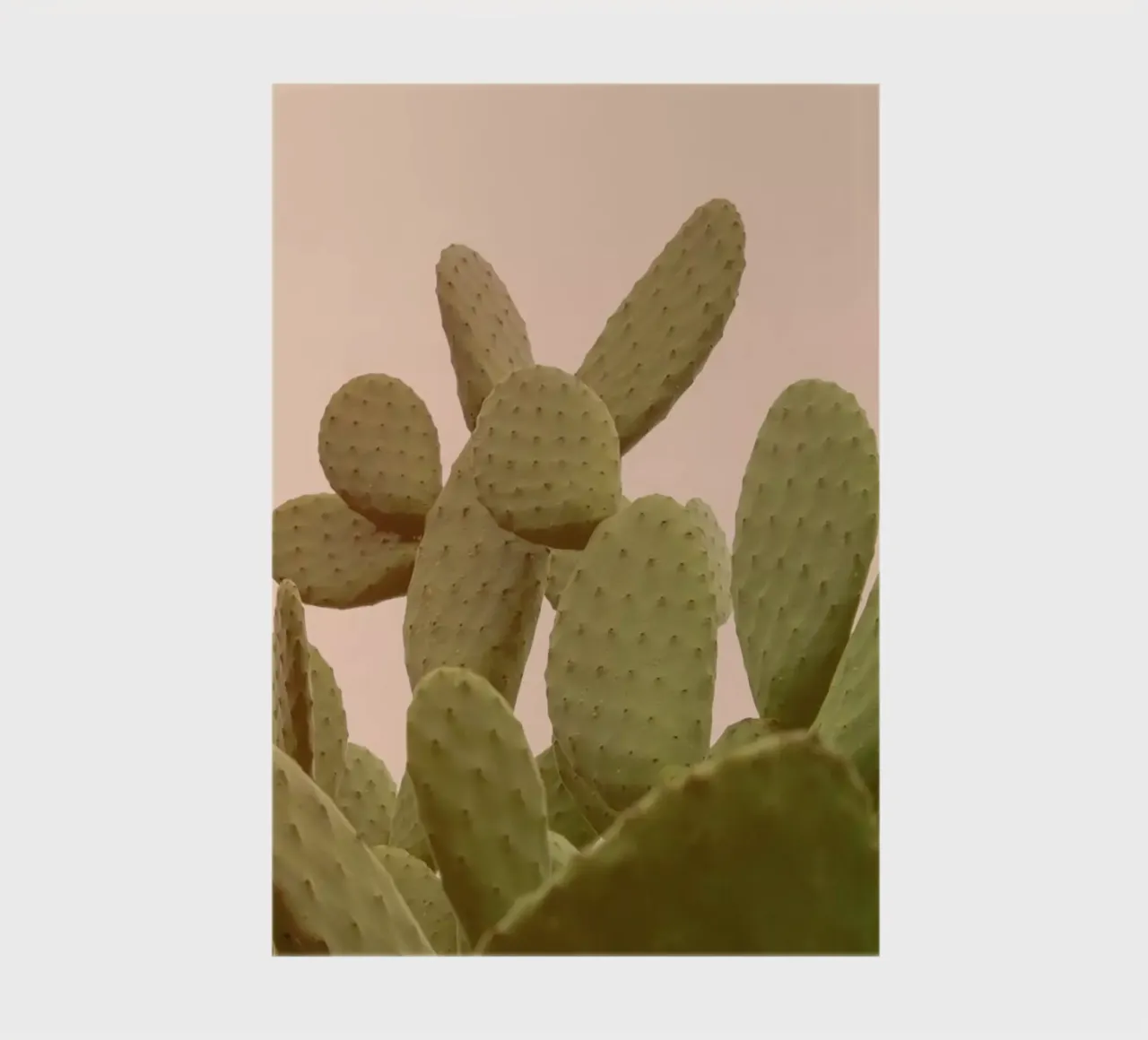Prickly Pear Cactus notebook by Victoria Frost