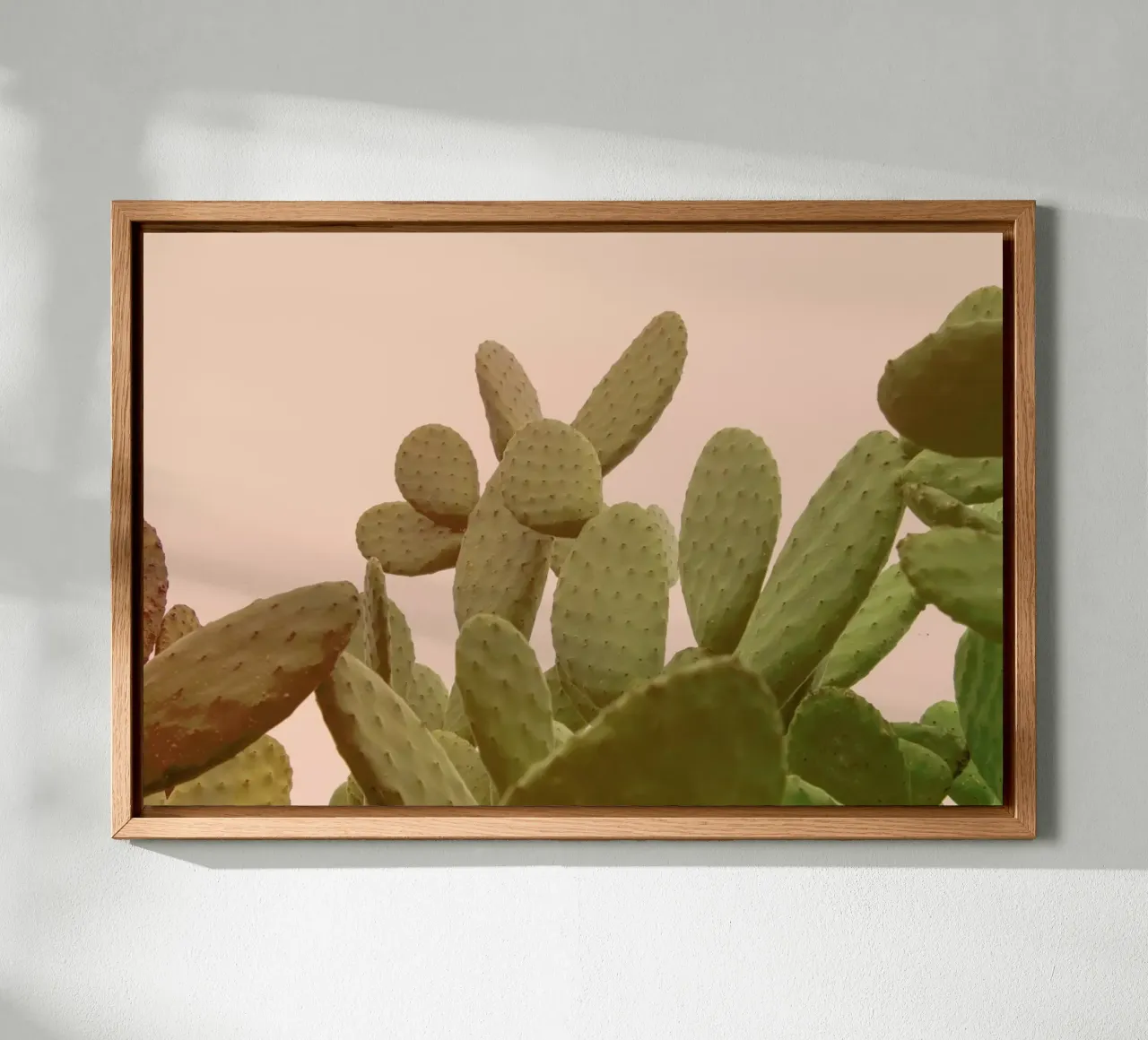 Prickly Pear Cactus tela con Cornice a cassetta da Victoria Frost