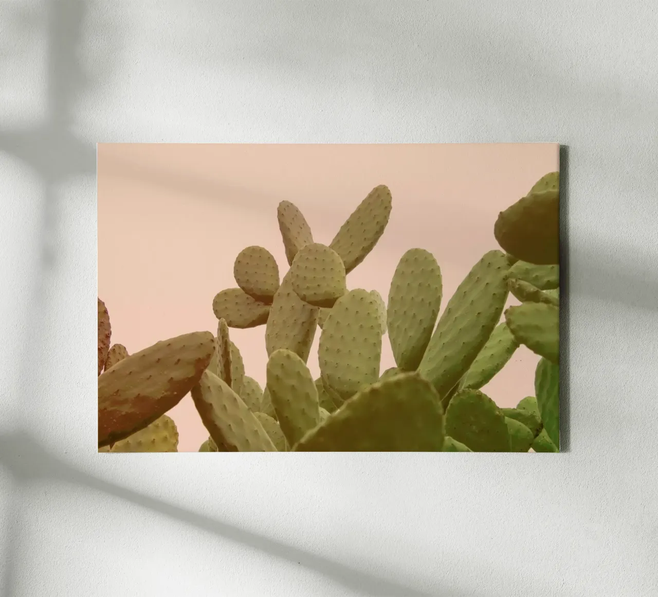 Prickly Pear Cactus tela con Cornice a cassetta da Victoria Frost