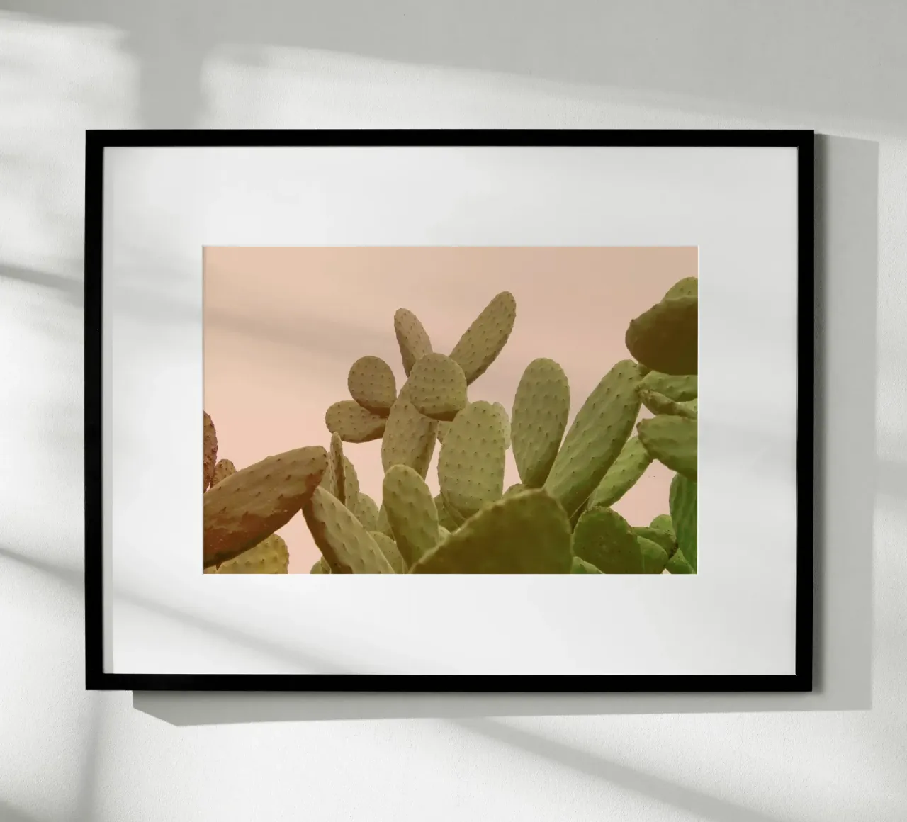 Prickly Pear Cactus carta hahnemühle da Victoria Frost