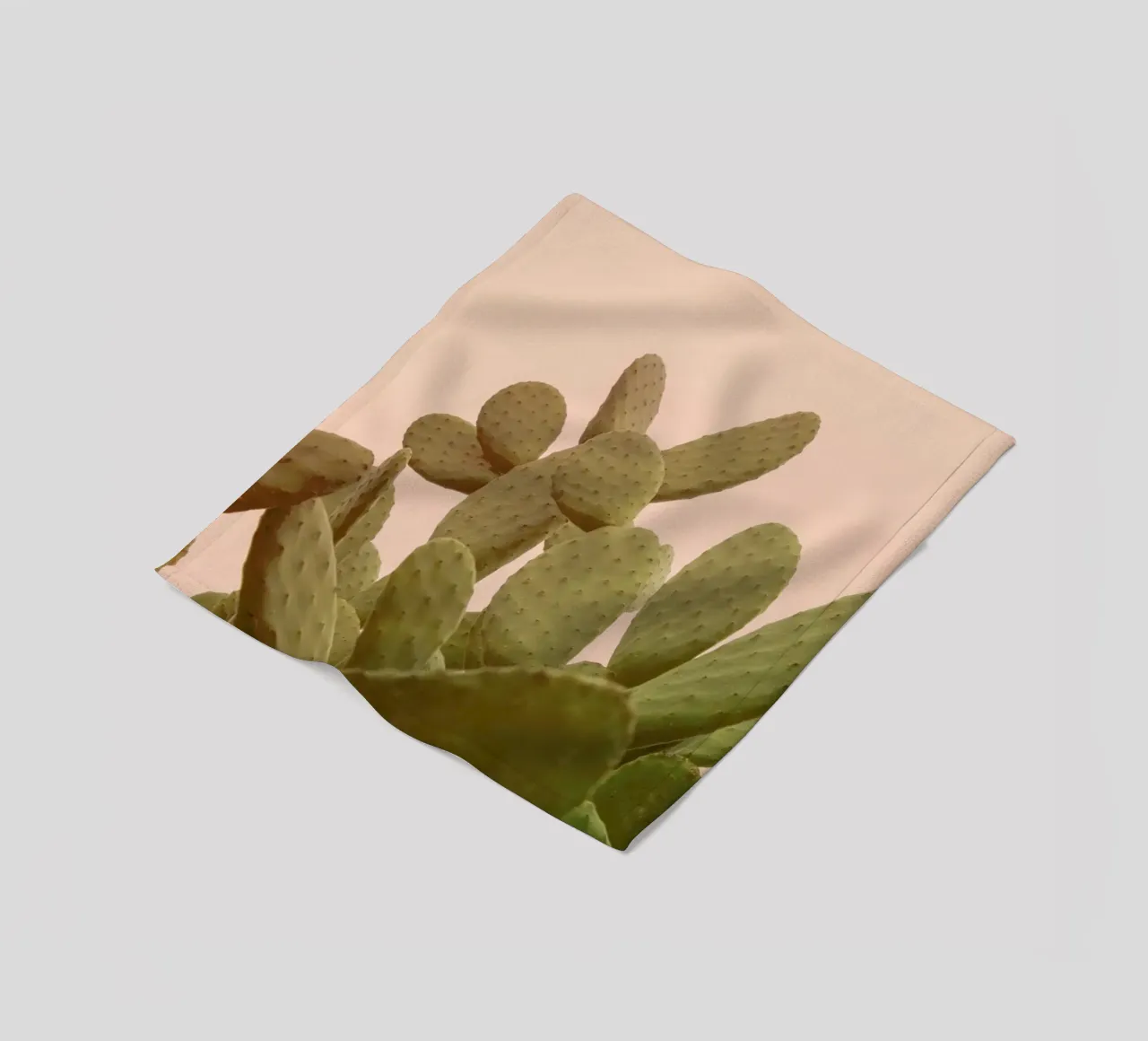 Prickly Pear Cactus coperta in pile da Victoria Frost