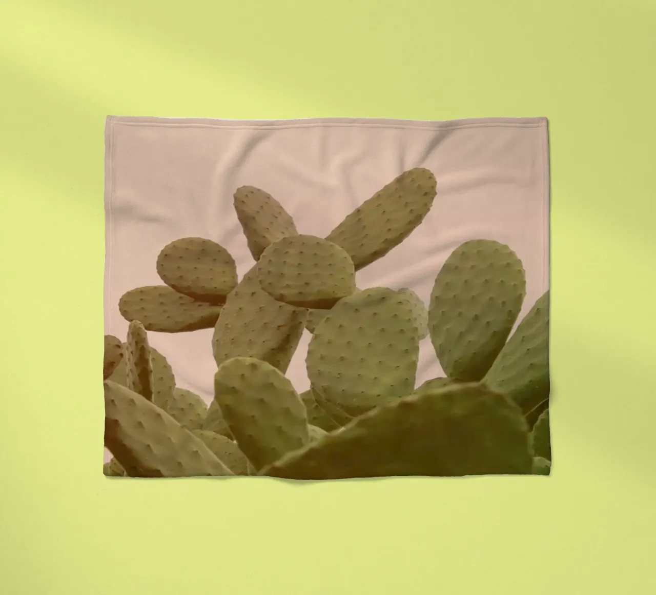 Prickly Pear Cactus coperta in pile da Victoria Frost