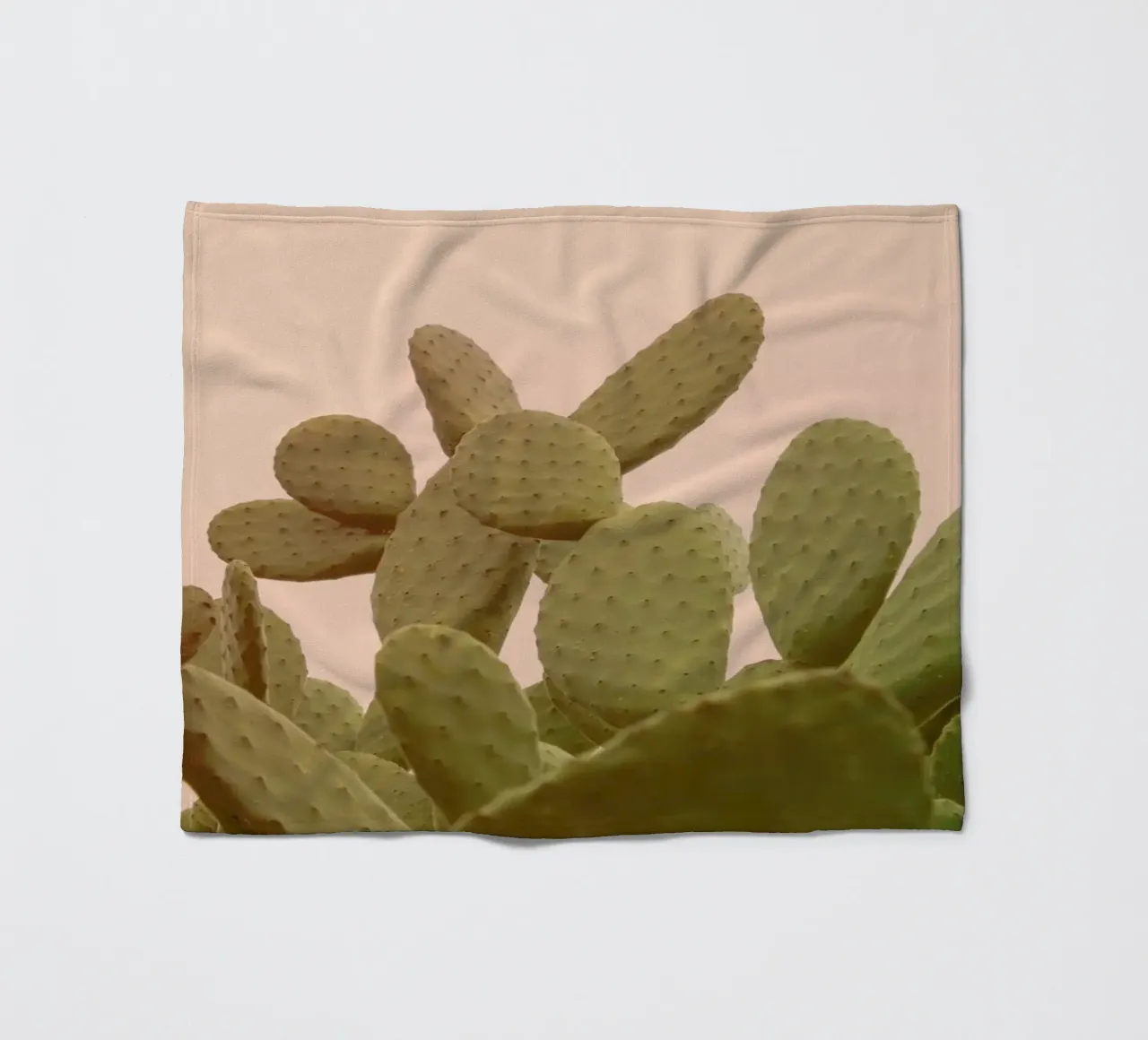 Prickly Pear Cactus coperta in pile da Victoria Frost