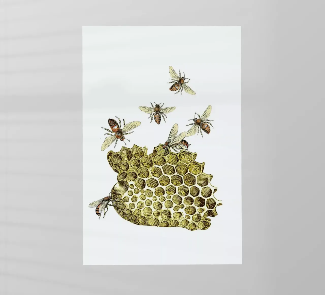 Bees and Honeycomb pellicola backlit da Rococco LA