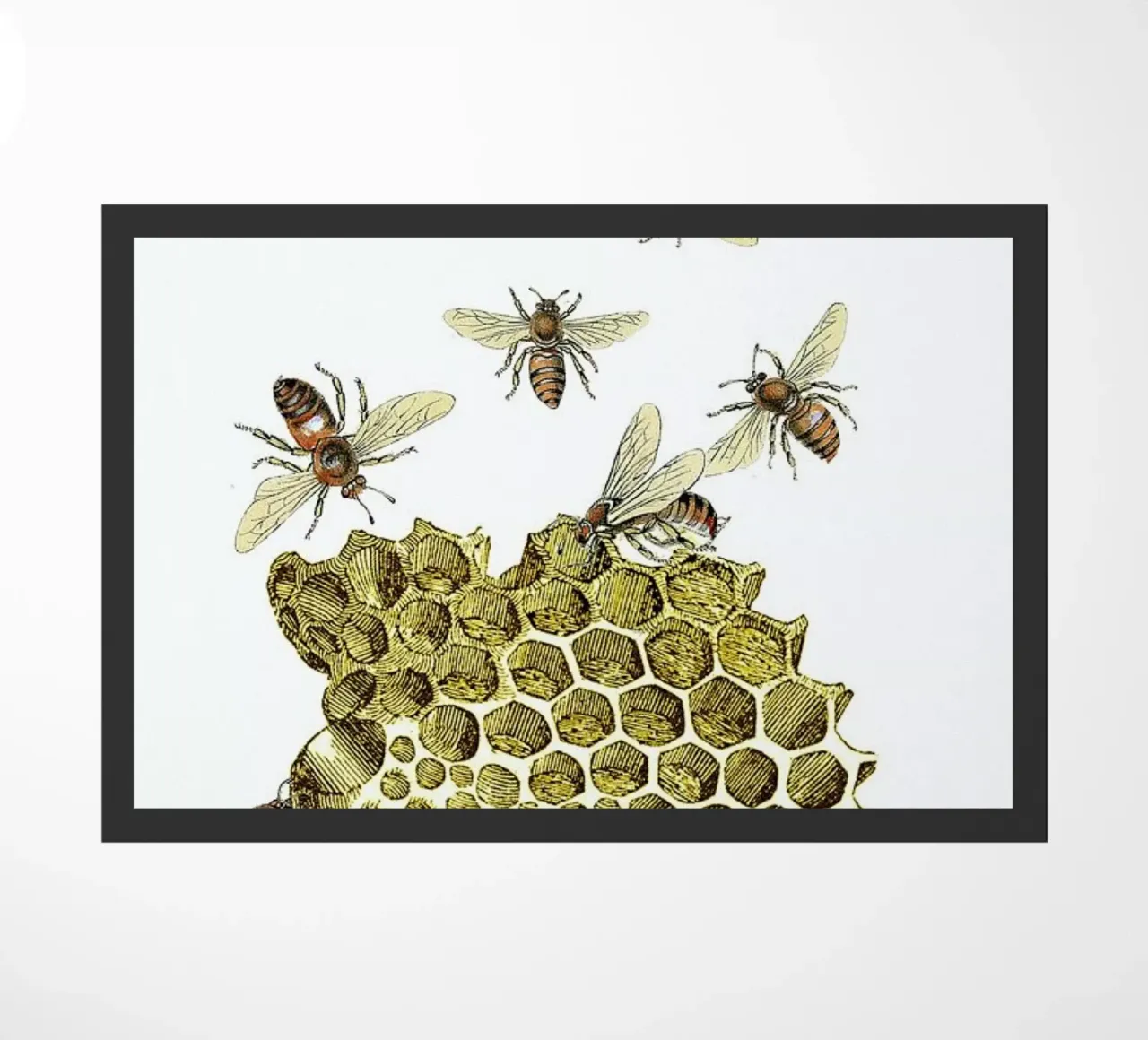 Bees and Honeycomb zerbino da Rococco LA