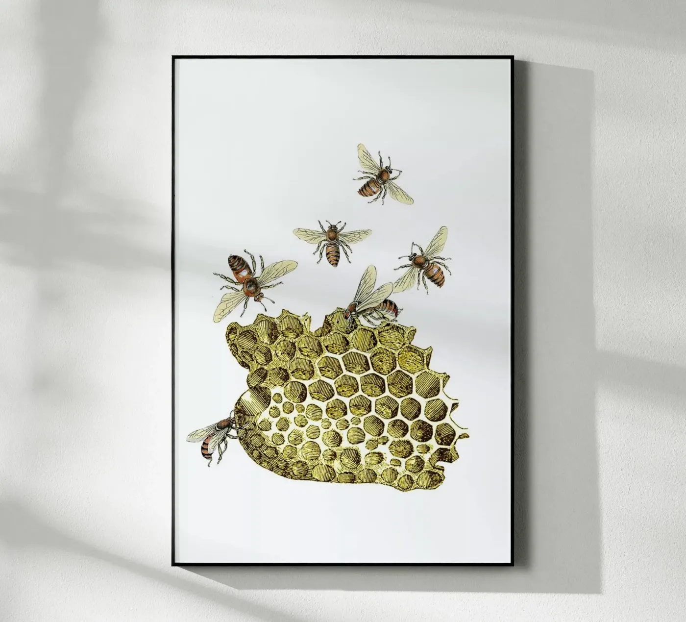 Bees and Honeycomb plexiglass da Rococco LA