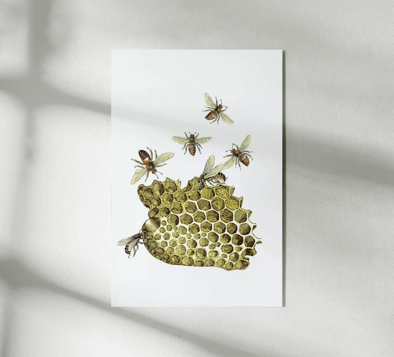 Bees and Honeycomb plexiglass da Rococco LA