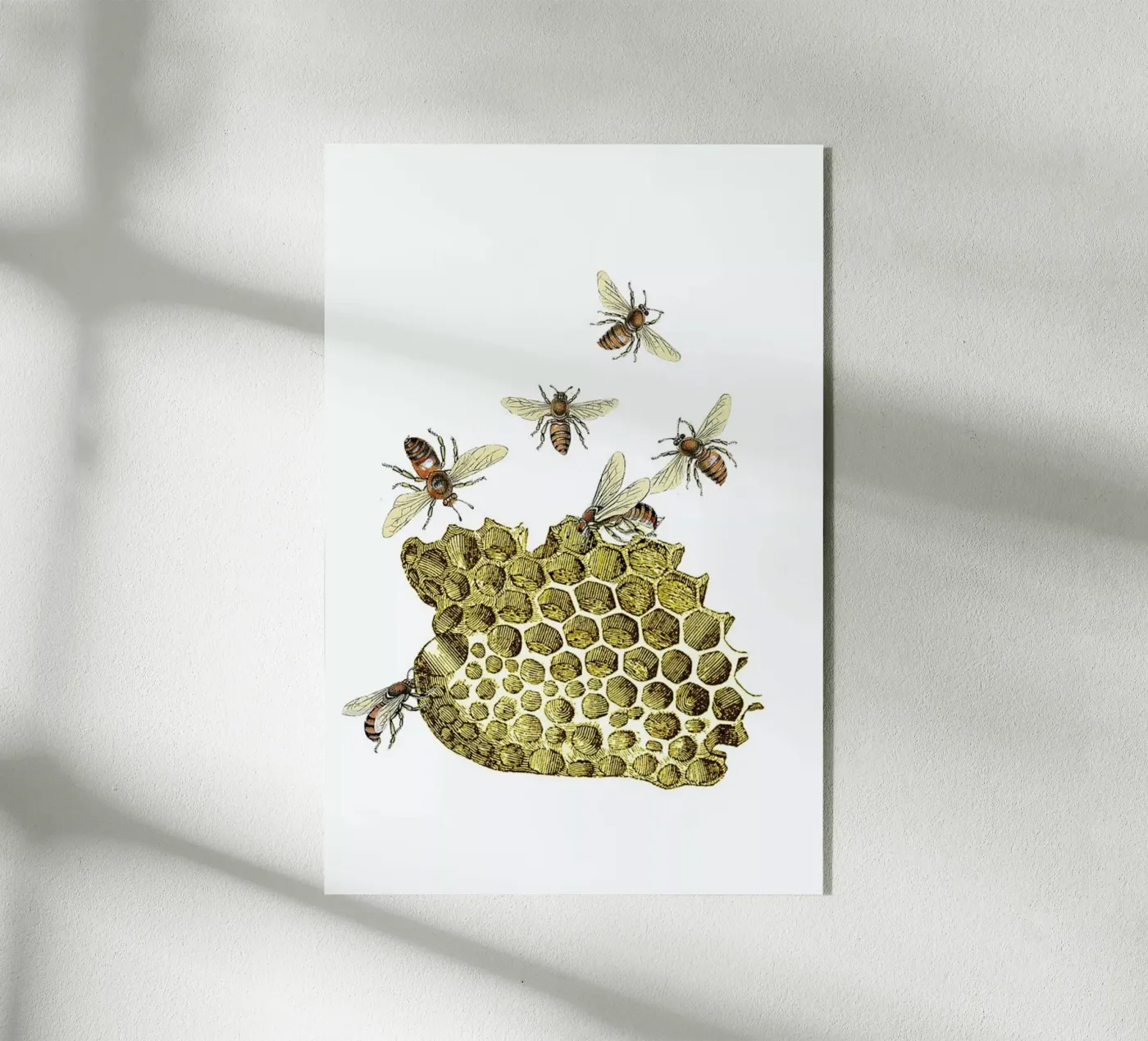 Bees and Honeycomb plexiglass da Rococco LA