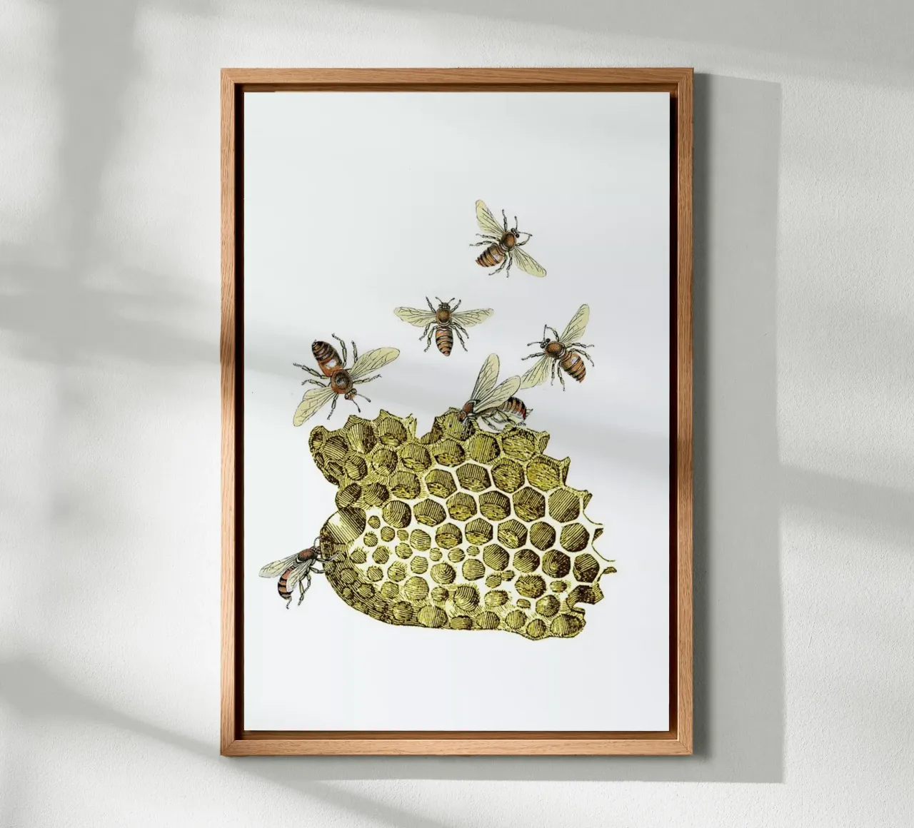 Bees and Honeycomb tela con Cornice a cassetta da Rococco LA