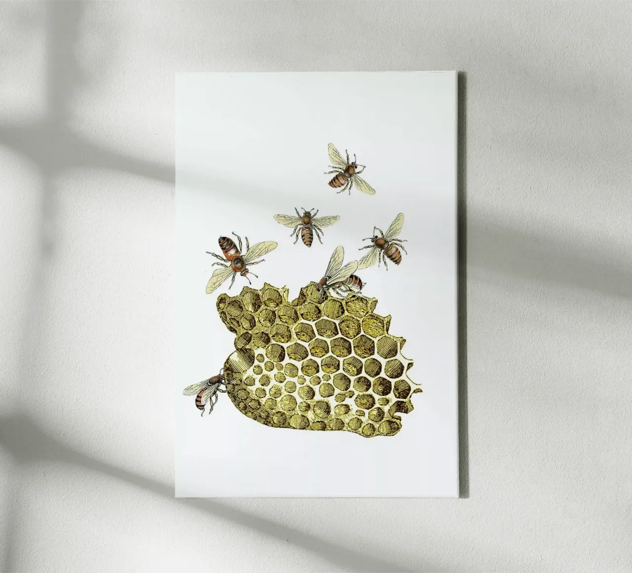Bees and Honeycomb tela con Cornice a cassetta da Rococco LA