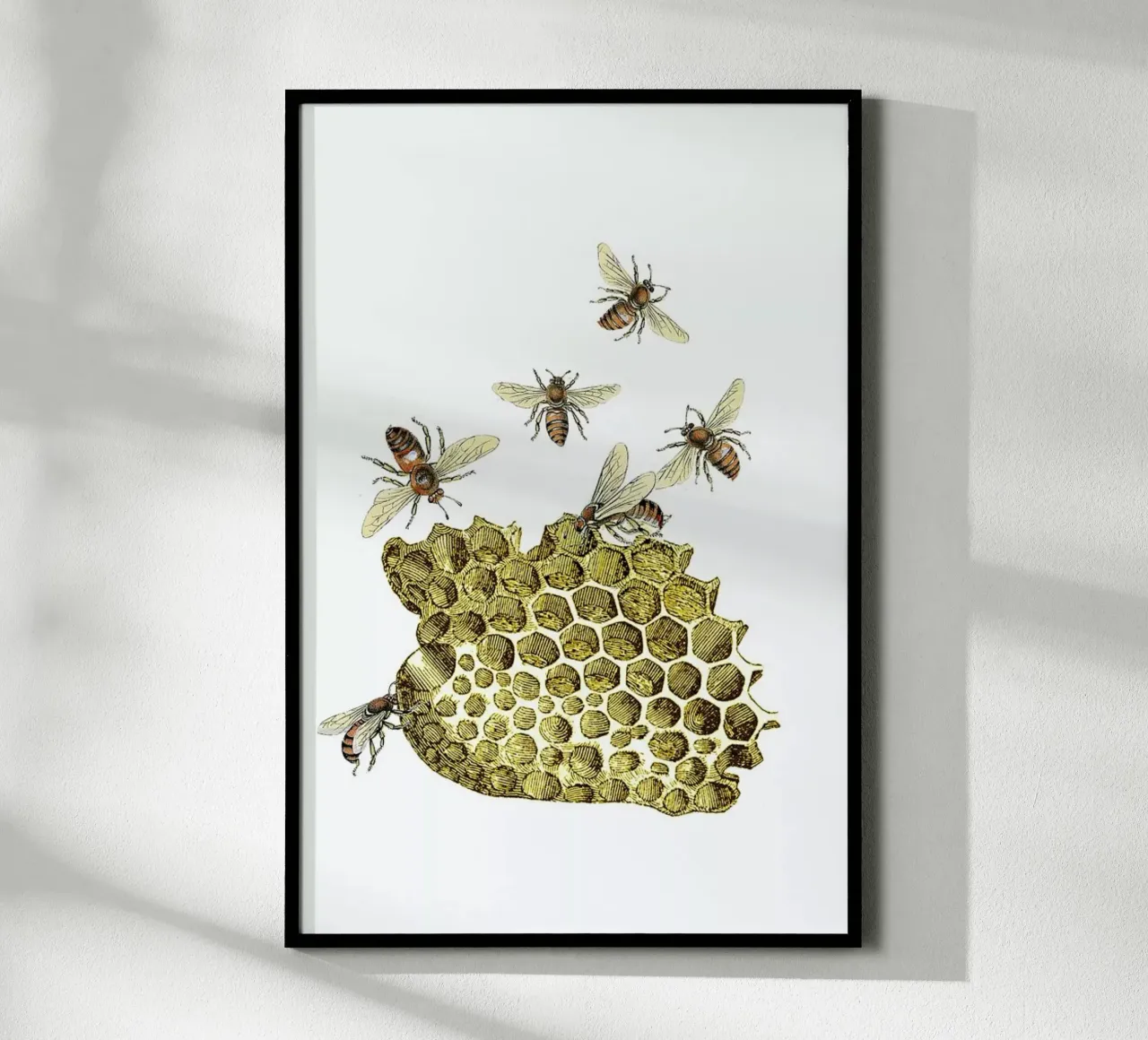 Bees and Honeycomb carta hahnemühle da Rococco LA