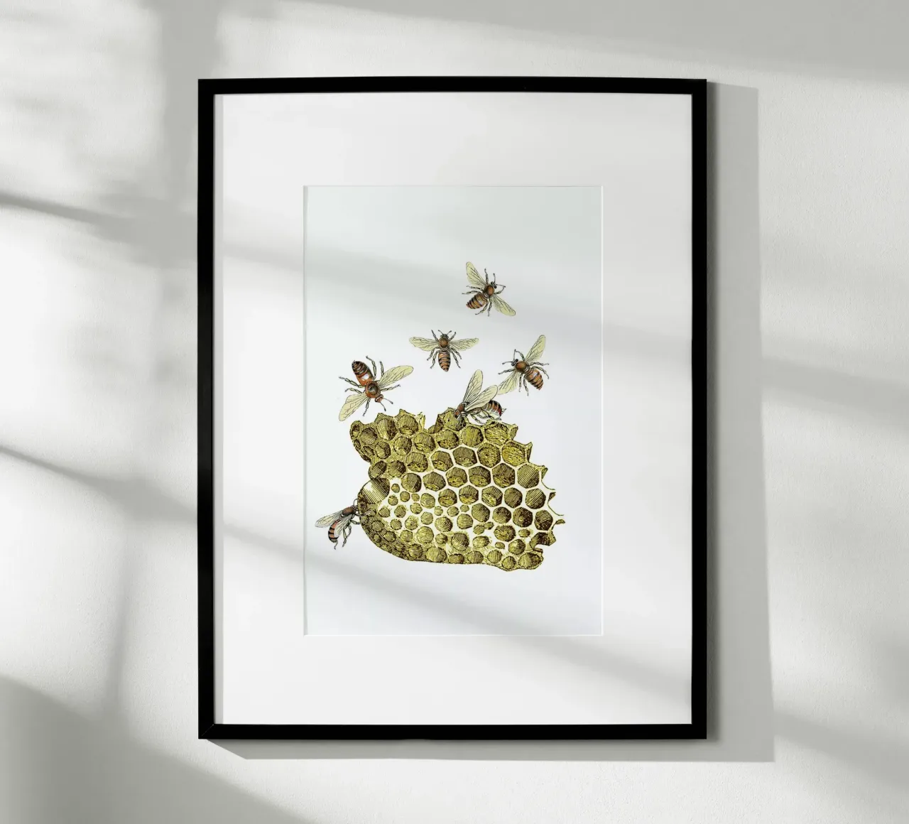 Bees and Honeycomb carta hahnemühle da Rococco LA