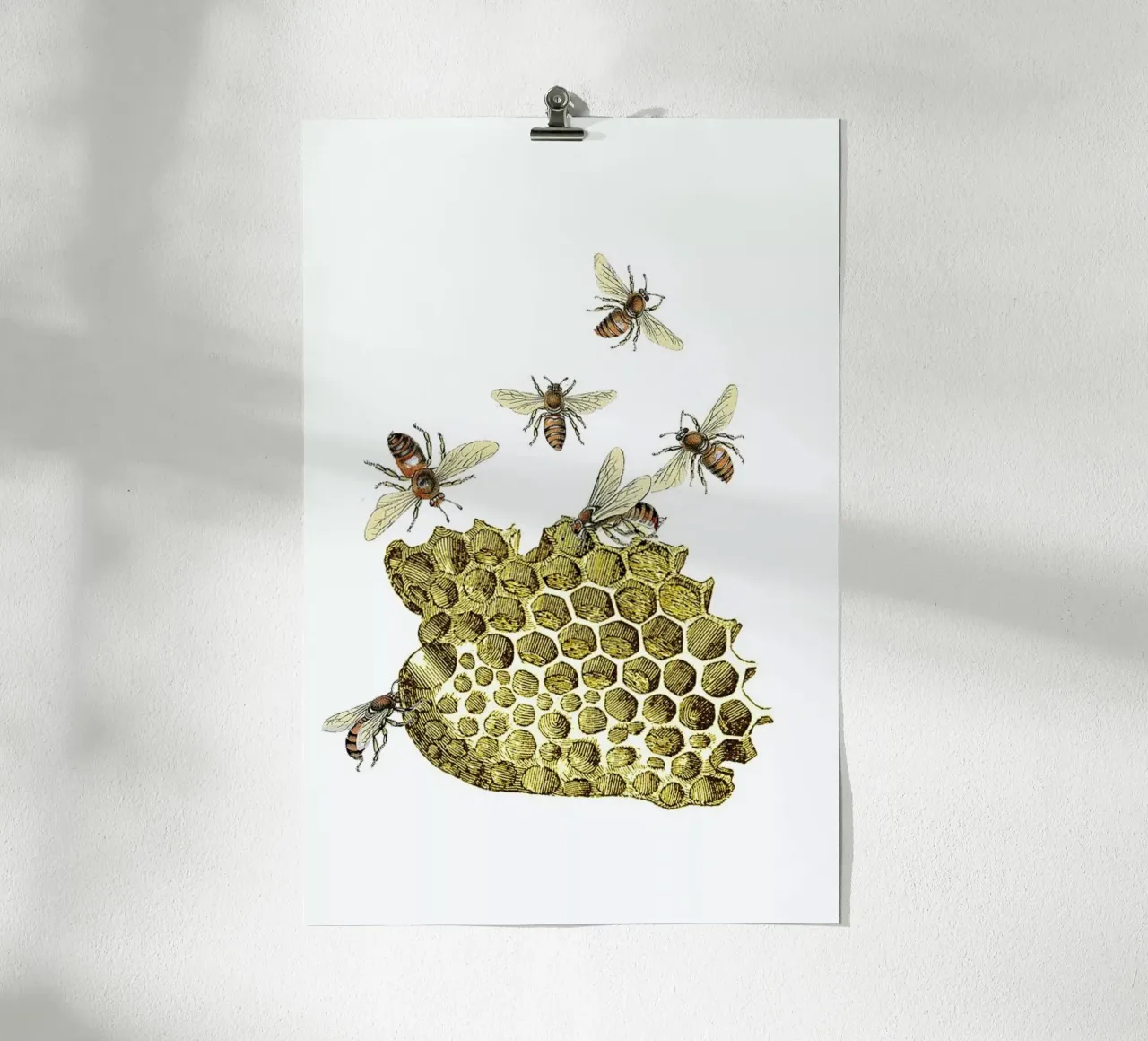 Bees and Honeycomb carta hahnemühle da Rococco LA