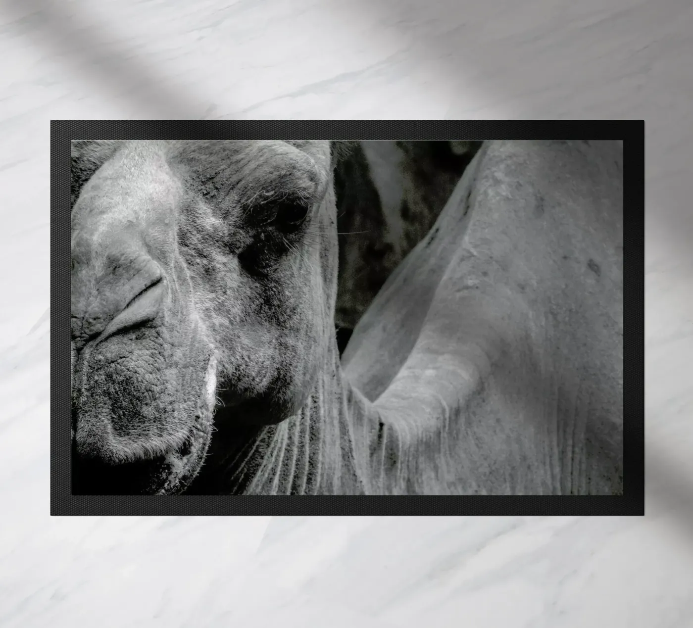 Camel doormat by Victoria Frost