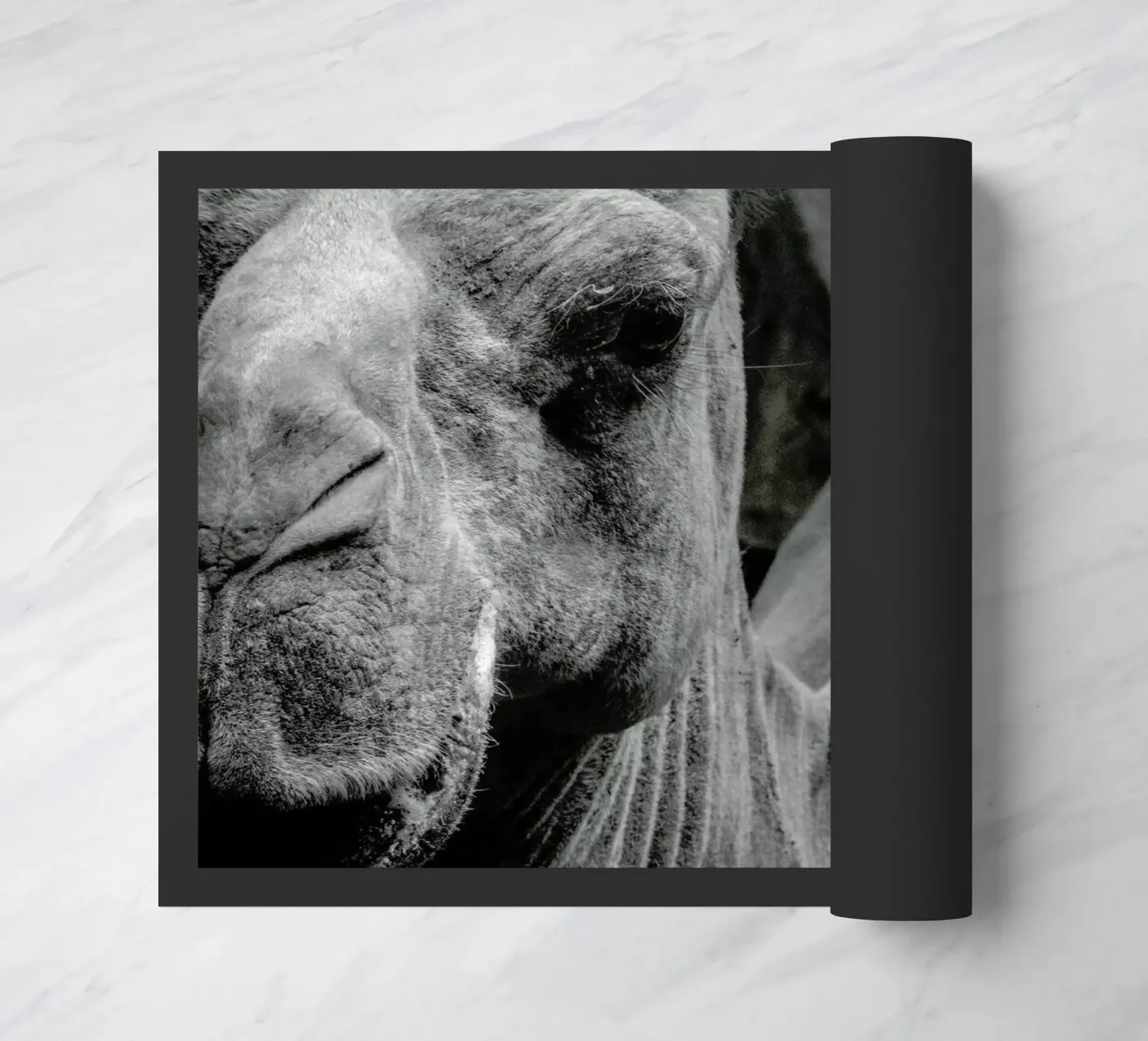 Camel doormat by Victoria Frost