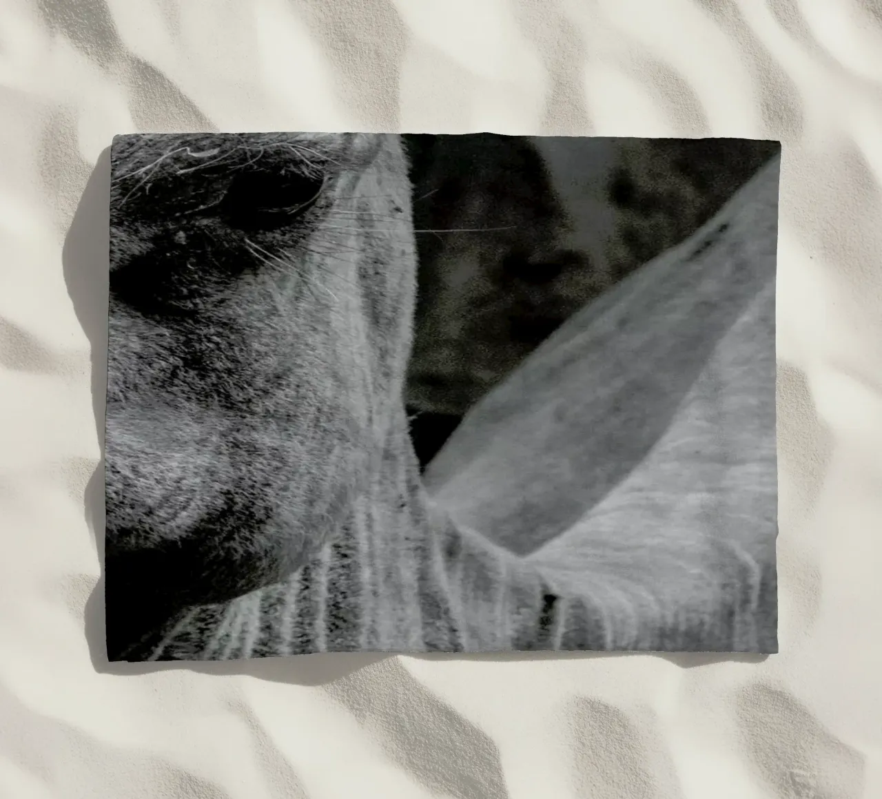 Camel telo mare da Victoria Frost