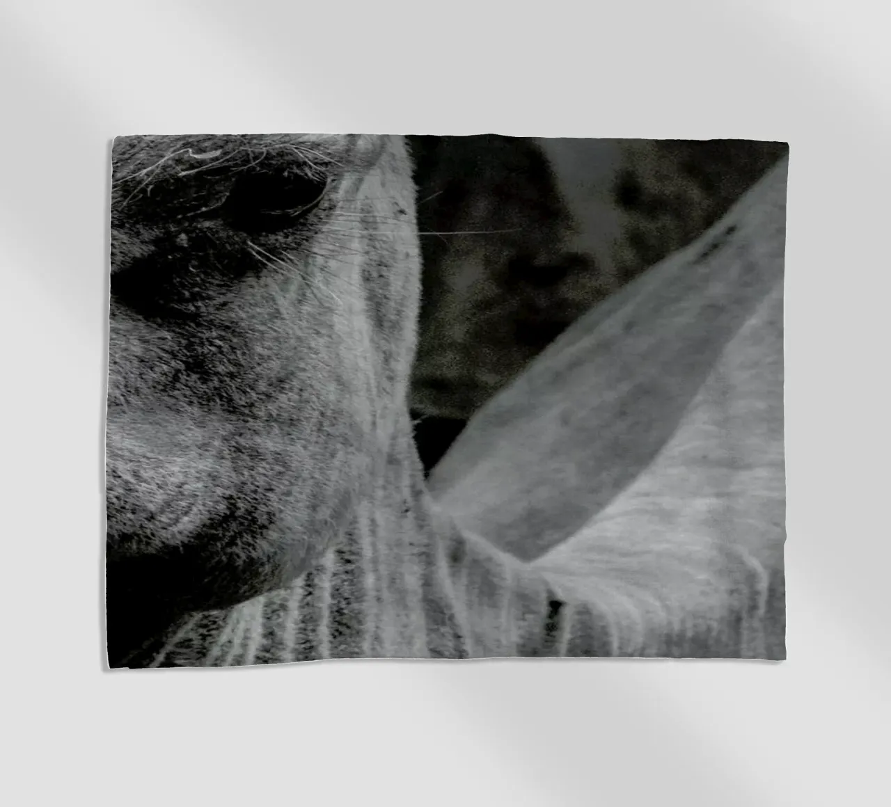 Camel telo mare da Victoria Frost